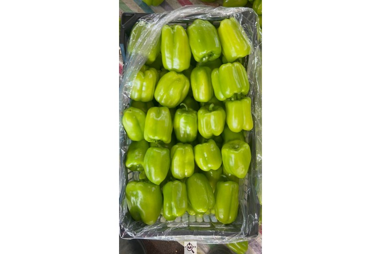 محصولات کشاورزی عمران زارع در ایران