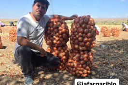 صادرات و سورتينگ و باسكول غريبلو در زنجان جاده تبريز