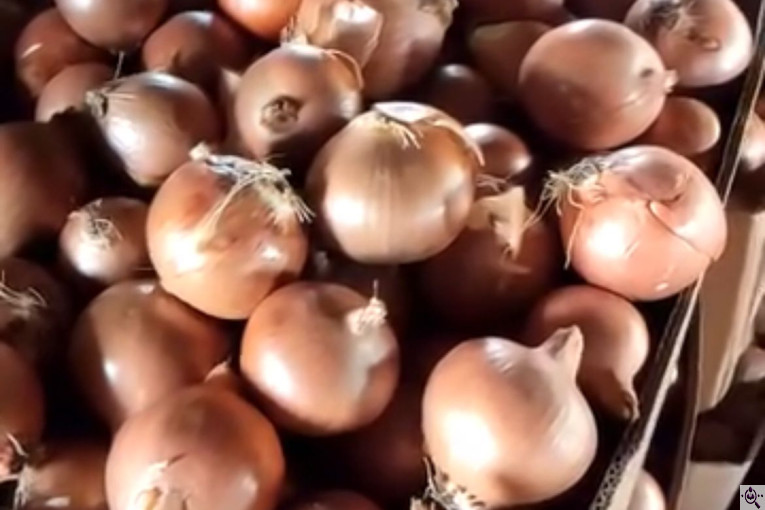 صادرات و سورتينگ و باسكول غريبلو در زنجان جاده تبريز