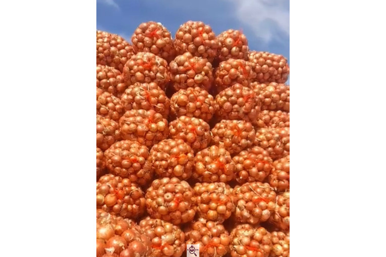 صادرات و سورتينگ و باسكول غريبلو در زنجان جاده تبريز