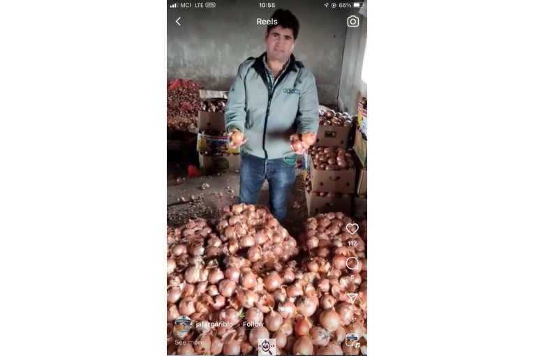 صادرات و سورتينگ و باسكول غريبلو در زنجان جاده تبريز