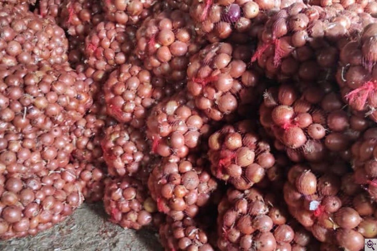 صادرات و سورتينگ و باسكول غريبلو در زنجان جاده تبريز