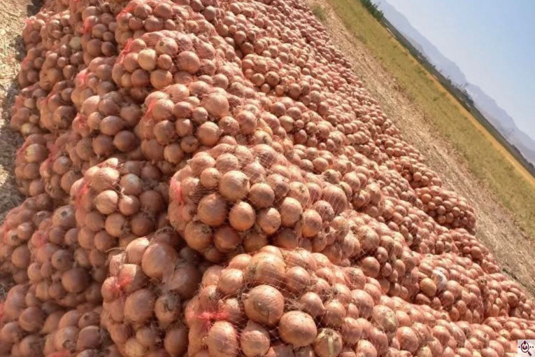 صادرات و سورتينگ و باسكول غريبلو در زنجان جاده تبريز