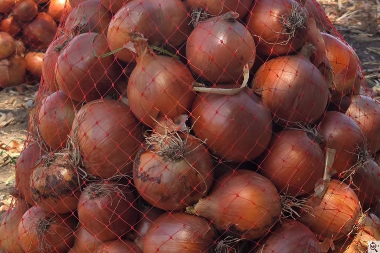 صادرات و سورتينگ و باسكول غريبلو در زنجان جاده تبريز