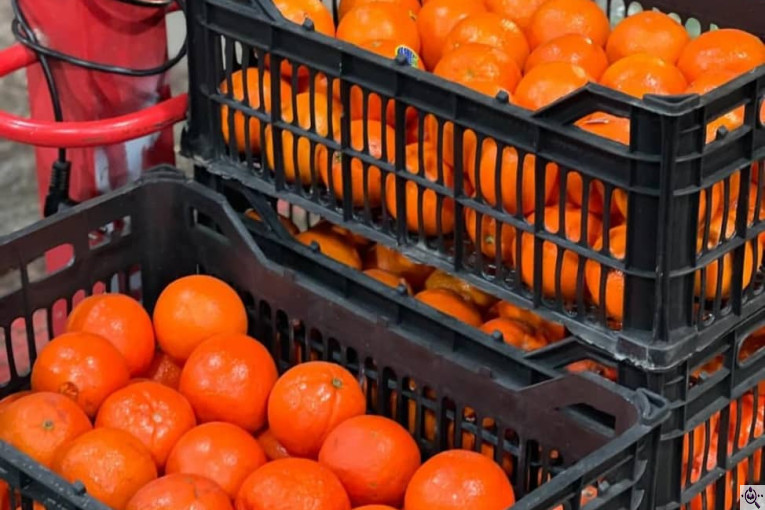 بارفروشی هوشیار در بروجرد