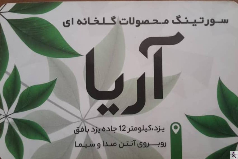 سورتینگ محصولات گلخانه ای آریا در یزد