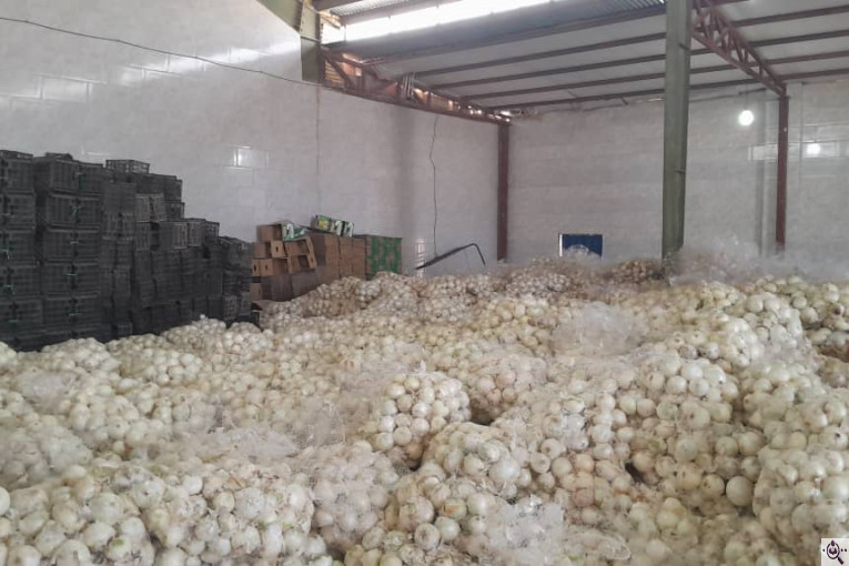 سورتینگ محصولات گلخانه ای آریا در یزد