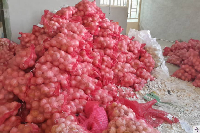 سورتینگ محصولات گلخانه ای آریا در یزد