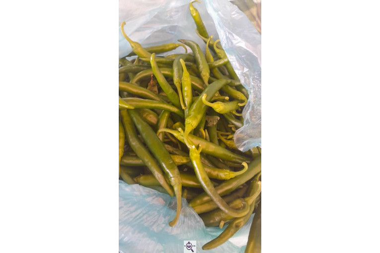 سورتینگ محصولات گلخانه ای آریا در یزد