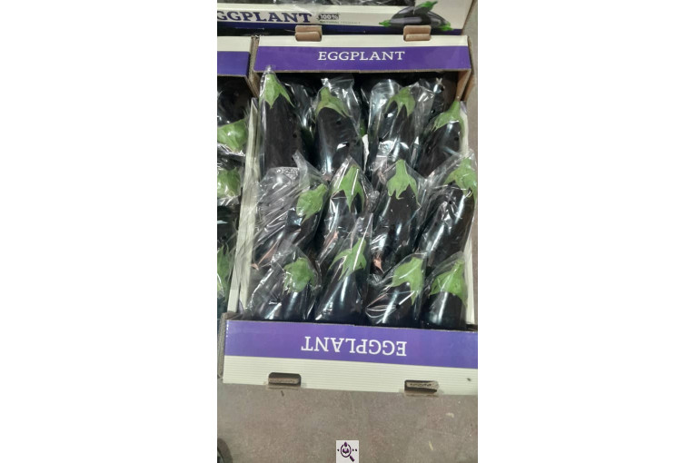 سورتینگ محصولات گلخانه ای آریا در یزد