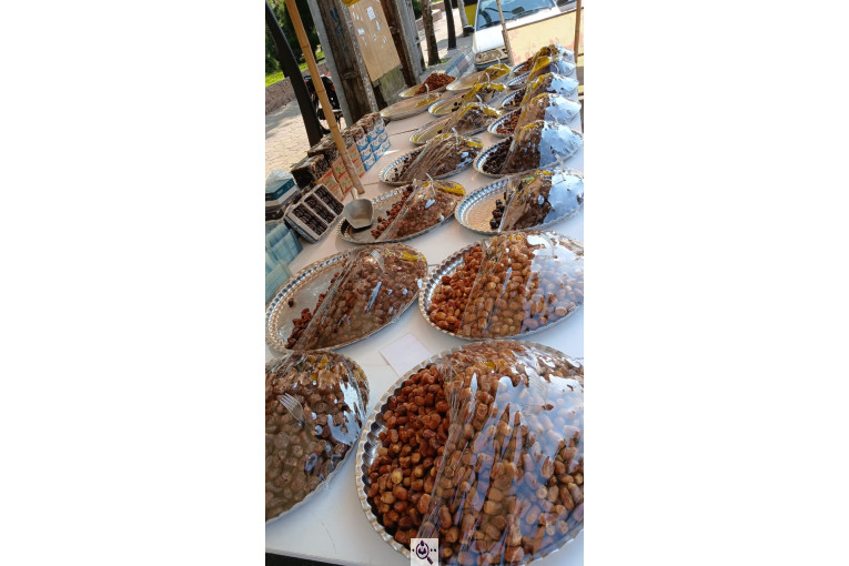 شهر خرما مهران در كوچصفهان