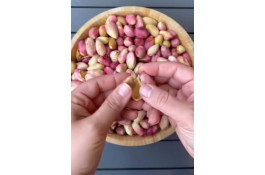 خشکبار پسته لوکس در رفسنجان