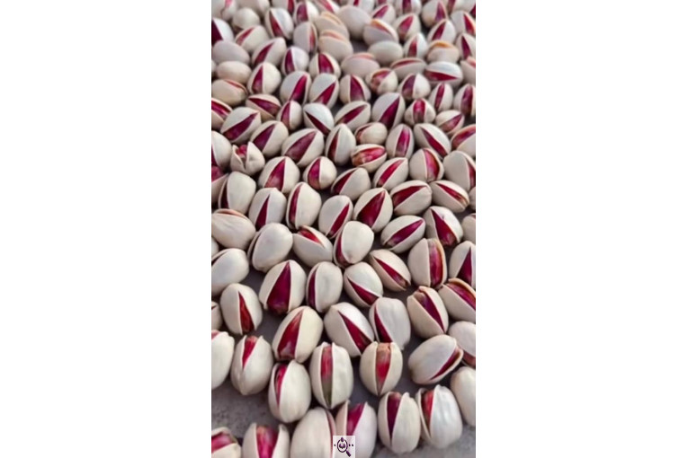 خشکبار پسته لوکس در رفسنجان