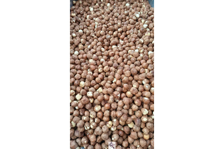 کارگاه فرآوری فندق ارمغان اشکور در رودسر