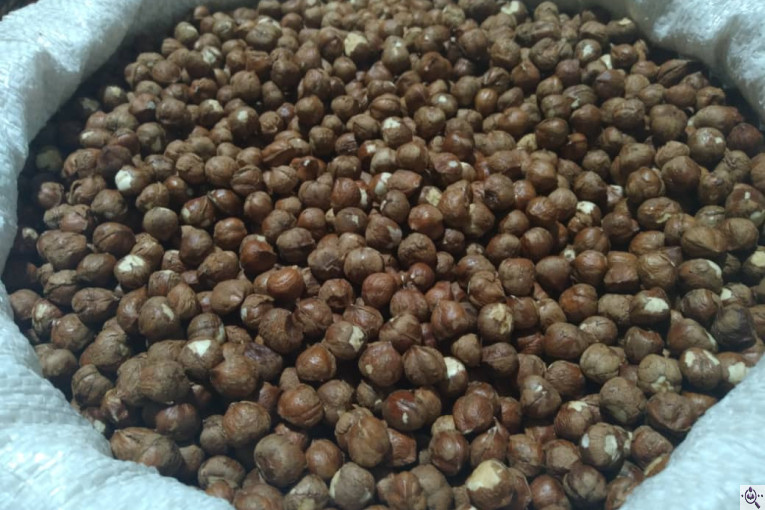 کارگاه فرآوری فندق ارمغان اشکور در رودسر