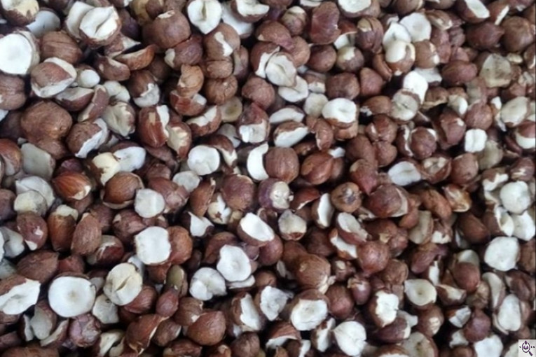 کارگاه فرآوری فندق ارمغان اشکور در رودسر