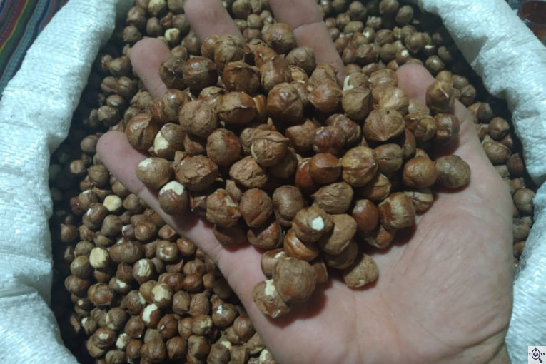 کارگاه فرآوری فندق ارمغان اشکور در رودسر