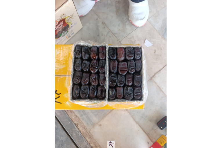 صنایع سردخانه بسته بندی طلای سیاه بم