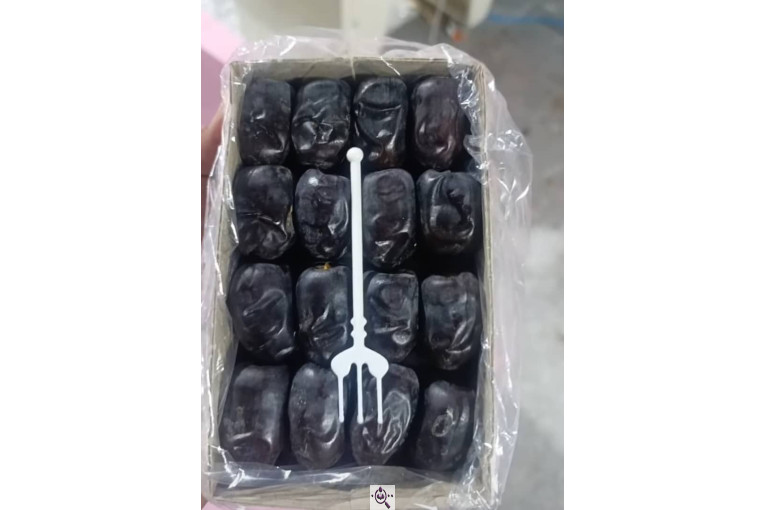 صنایع سردخانه بسته بندی طلای سیاه بم