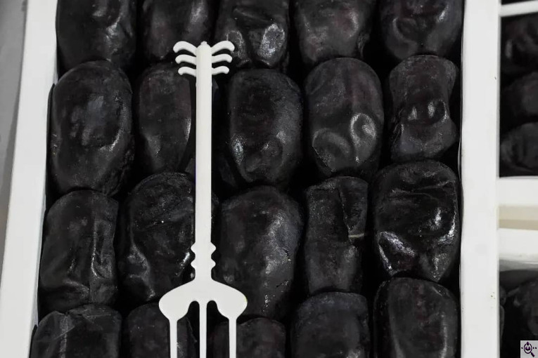 صنایع سردخانه بسته بندی طلای سیاه بم