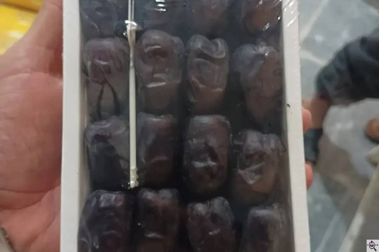 صنایع سردخانه بسته بندی طلای سیاه بم