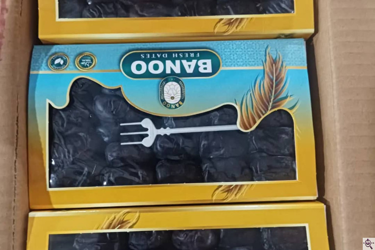 صنایع سردخانه بسته بندی طلای سیاه بم