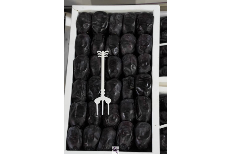 صنایع سردخانه بسته بندی طلای سیاه بم