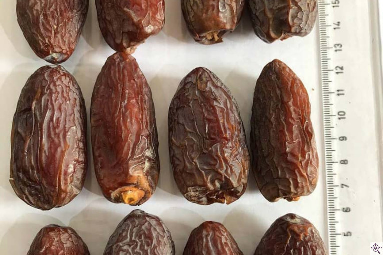 صنایع سردخانه بسته بندی طلای سیاه بم