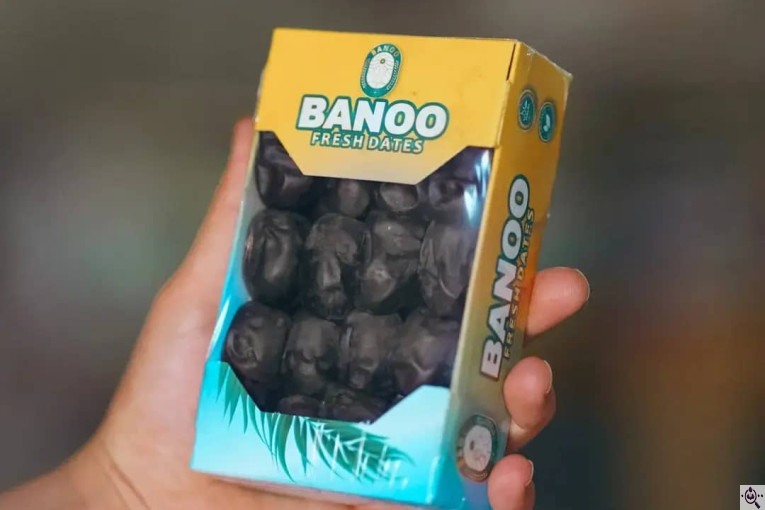 صنایع سردخانه بسته بندی طلای سیاه بم