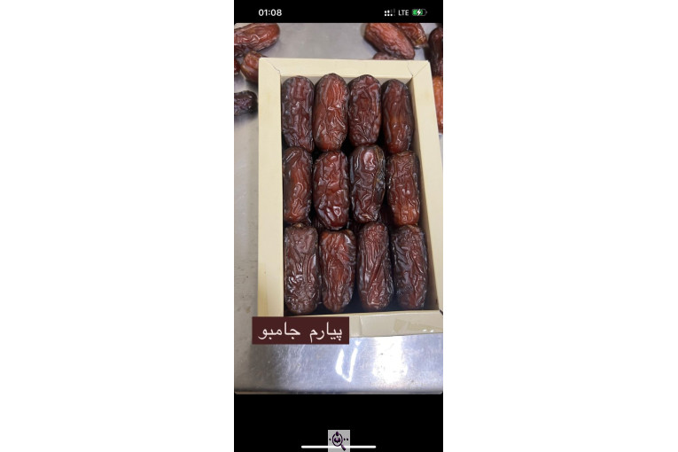 صنایع سردخانه بسته بندی طلای سیاه بم