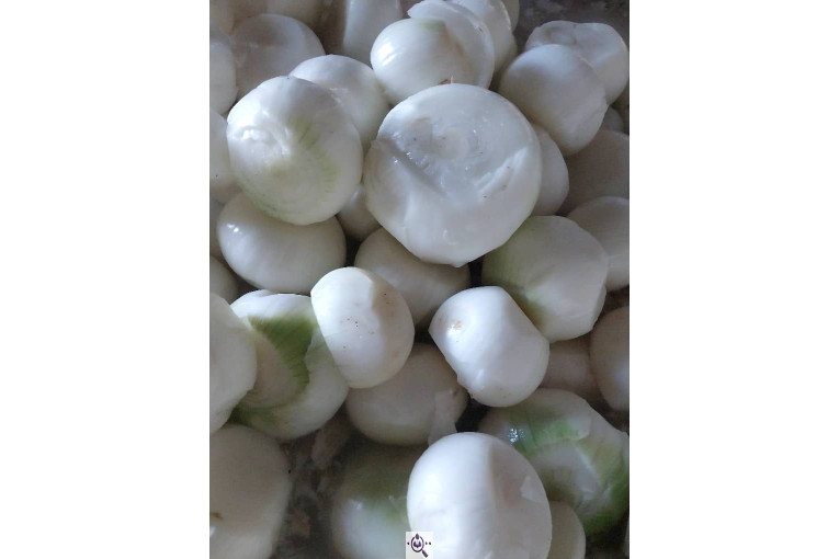 محصولات کشاورزی لطفی زاده سیر و پیاز و موسیر در همدان