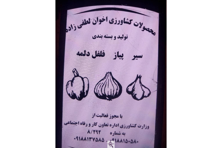 محصولات کشاورزی لطفی زاده سیر و پیاز و موسیر در همدان