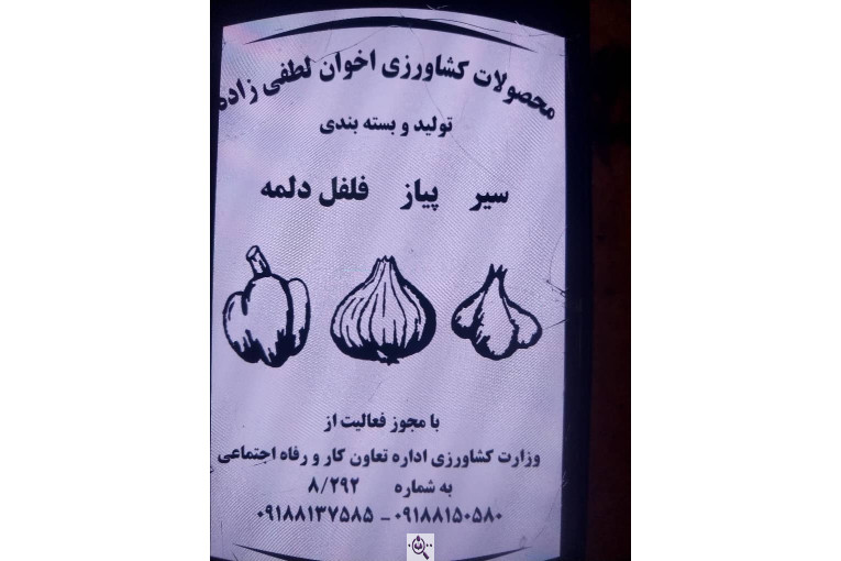 محصولات کشاورزی لطفی زاده سیر و پیاز و موسیر در همدان