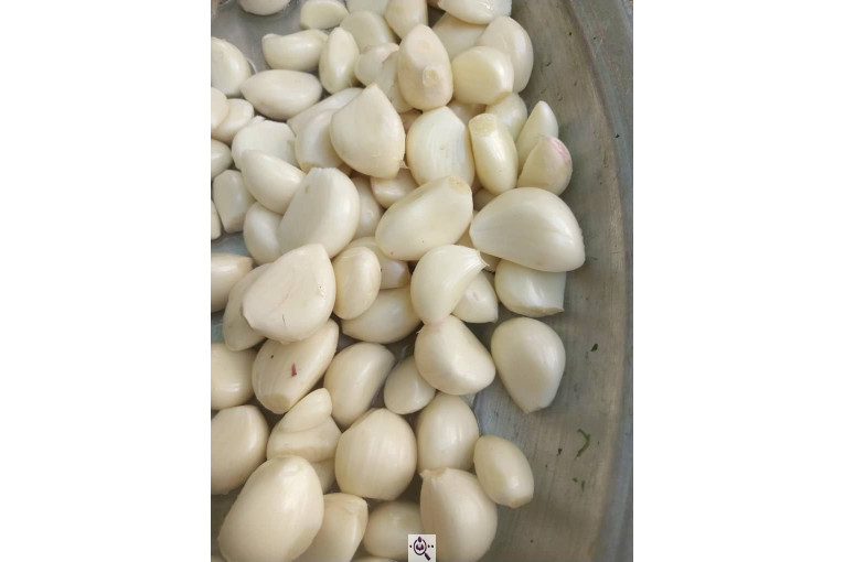 محصولات کشاورزی لطفی زاده سیر و پیاز و موسیر در همدان