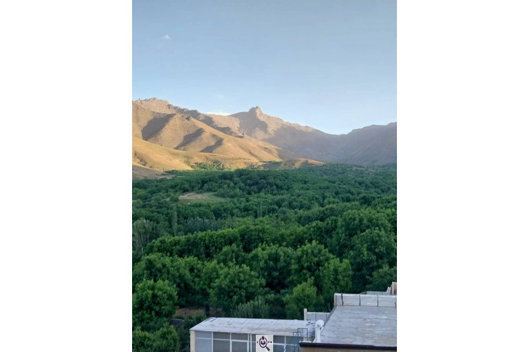 محصولات کشاورزی لطفی زاده سیر و پیاز و موسیر در همدان