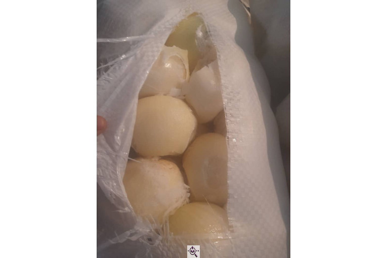 محصولات کشاورزی لطفی زاده سیر و پیاز و موسیر در همدان