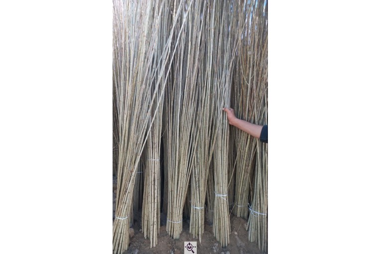 نهالستان حاج حسین سلیمی در تیران و کرون اصفهان