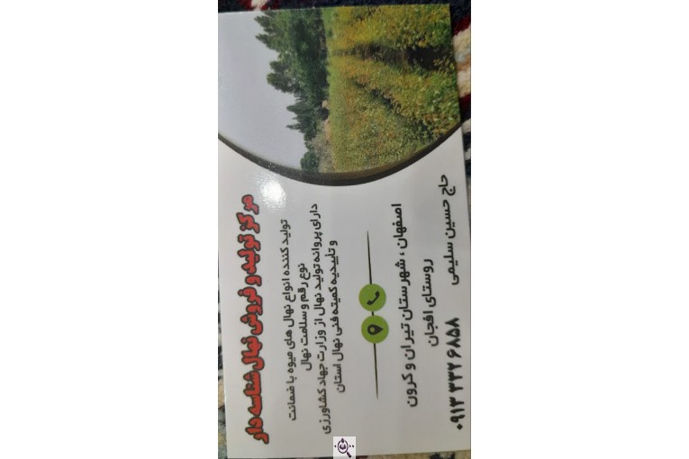 نهالستان حاج حسین سلیمی در تیران و کرون اصفهان