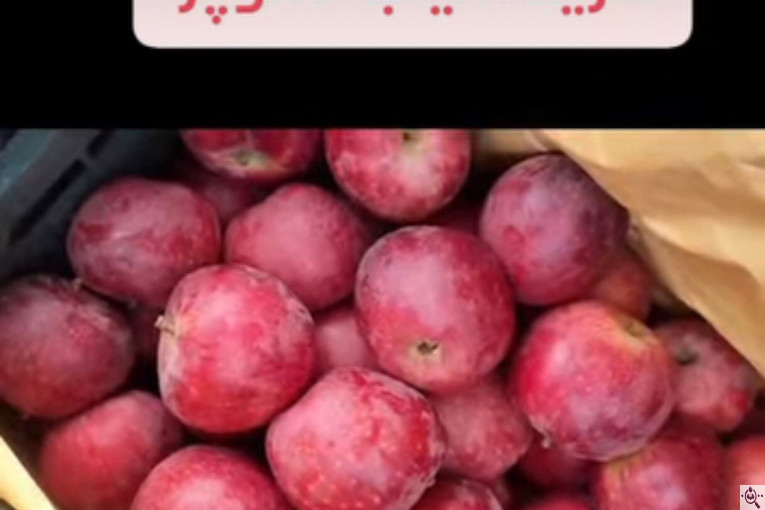 صادرات محصولات کشاورزی بازرگانی خانلر در ساری