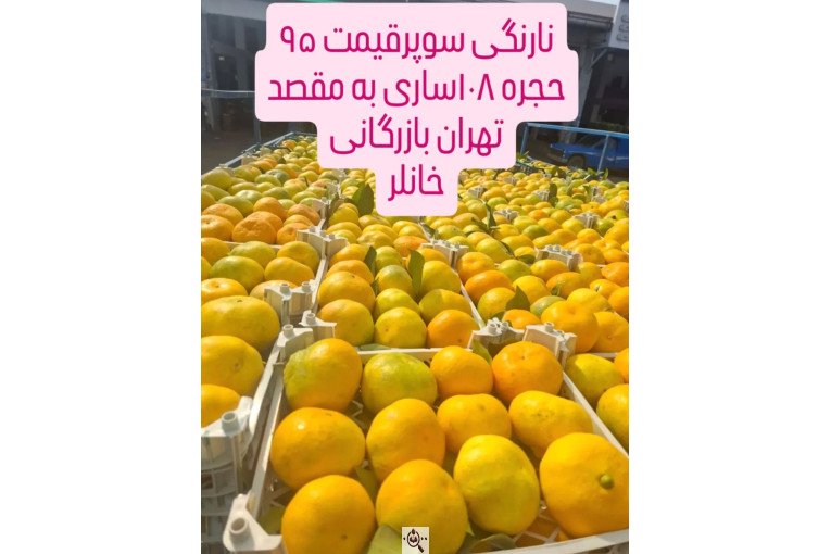 صادرات محصولات کشاورزی بازرگانی خانلر در ساری