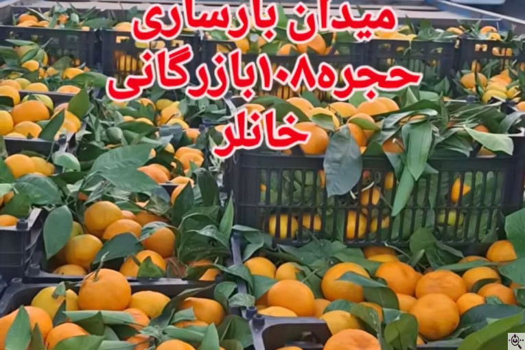 صادرات محصولات کشاورزی بازرگانی خانلر در ساری