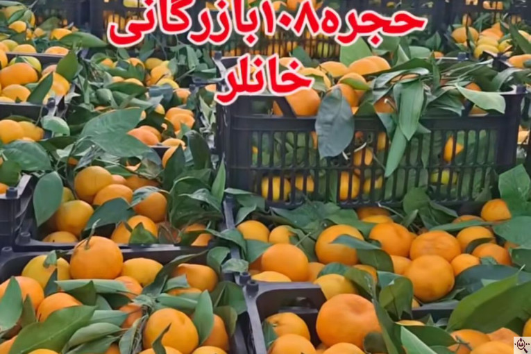 صادرات محصولات کشاورزی بازرگانی خانلر در ساری