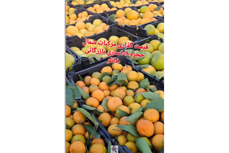 صادرات محصولات کشاورزی بازرگانی خانلر در ساری