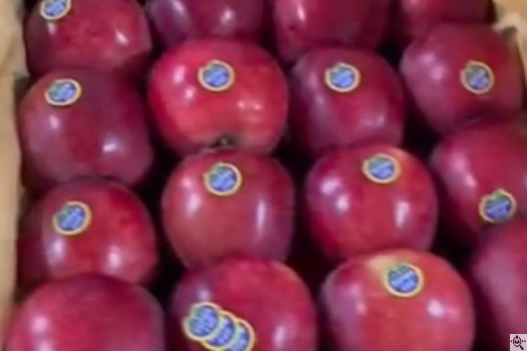 صادرات محصولات کشاورزی بازرگانی محسن شریعتی در خوزستان