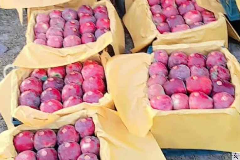 صادرات محصولات کشاورزی بازرگانی محسن شریعتی در خوزستان