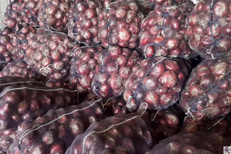 صادرات محصولات کشاورزی بازرگانی محسن شریعتی در خوزستان