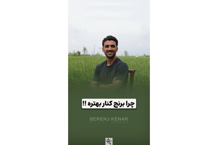 برنج کنار در یزد