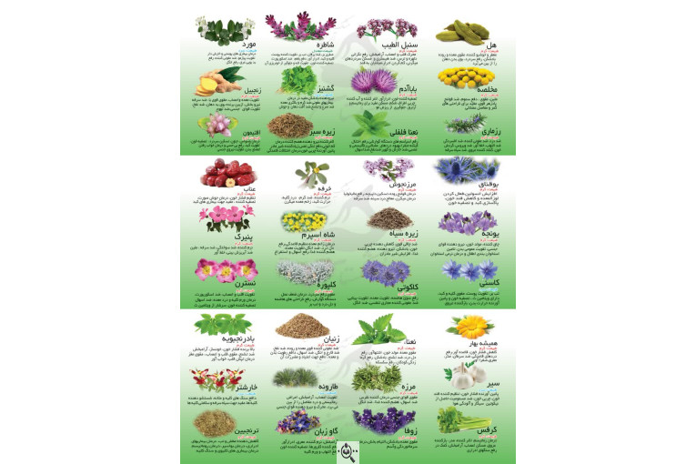 شرکت گلاب و عرقیات کوه زرد در کاشان