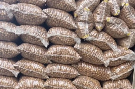 بازرگانی عطاری خشکباری گراوند در کرج