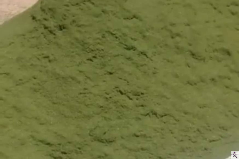 بازرگانی عطاری خشکباری گراوند در کرج